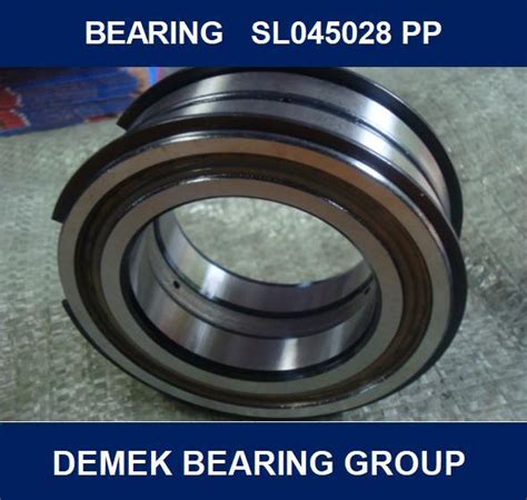 Full Complement Cylindrical Roller Bearing Sl Pp China Bearing