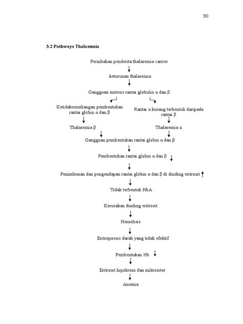 Thalassemia Pathways And Complications Pdf