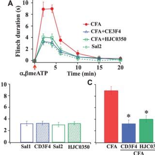 Effects Of CPT On A B MeATP Induced Behavioral Responses And PKCa Or