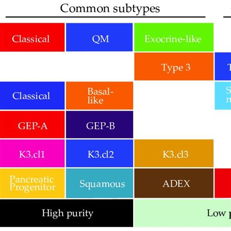 Schematic Overview Of All Reported Expression Based Subtypes In Pdac Download Scientific