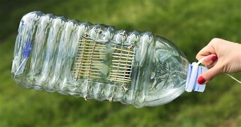 How To Make A Fish Trap Out Of A Plastic Bottle In A Couple Of Minutes