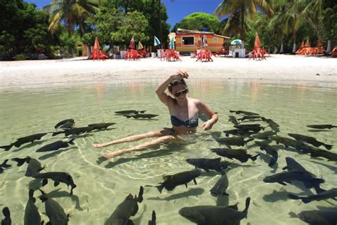 Lagoa Dos Tambaquis Conhe A Todas As Informa Es Sobre Esse Destino