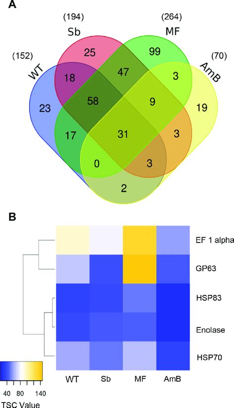 Identification Of L Infantum Evs Conserved Proteins A Venn Diagram