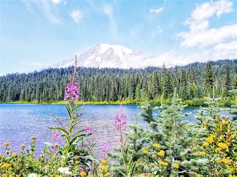 Reflection Lakes Hike At Mount Rainier National Park