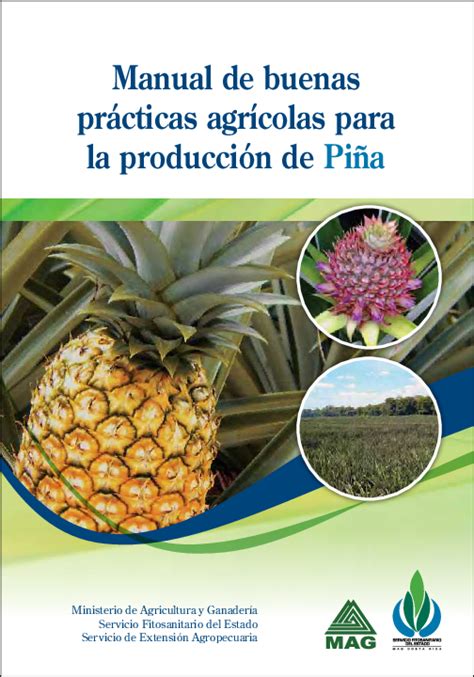 Pdf Manual De Buenas Prácticas Agrícolas Para La Producción De Piña