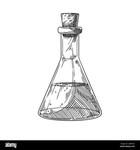 Croquis de un objeto químico de laboratorio Matraces vasos de