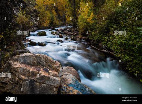 Beautiful Mountain Stream In The Wasatch Mountains Of Utah Usa This