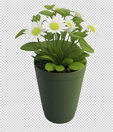 Planta Isolada Em Vaso Psd Psd Premium