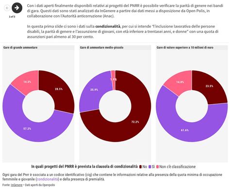 Pnrr E Dati Di Genere Flourish