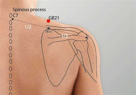 Gb 21 Jianjing Gall Bladder Meridian Acupuncture Point