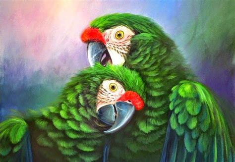 Cuadros De Pajaros Pintados Al Oleo Pinturas De Aves Arte De Aves