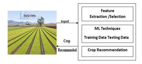 Crop Recommendation System Using Machine Learning For Digital Farming