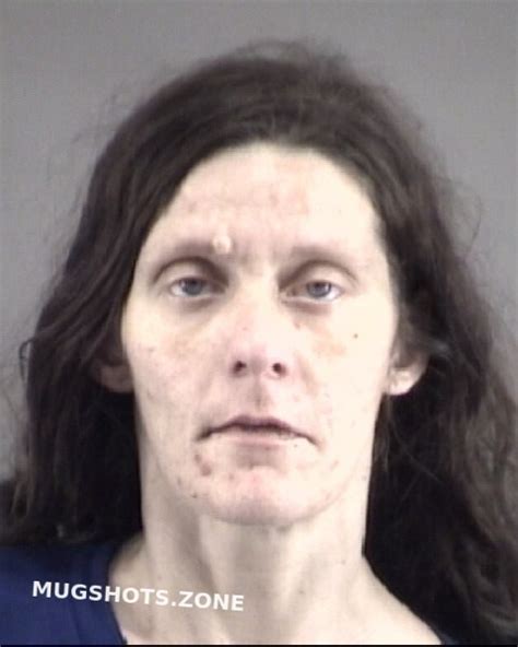 Mansfield Michelle Renea Forsyth County Mugshots Zone