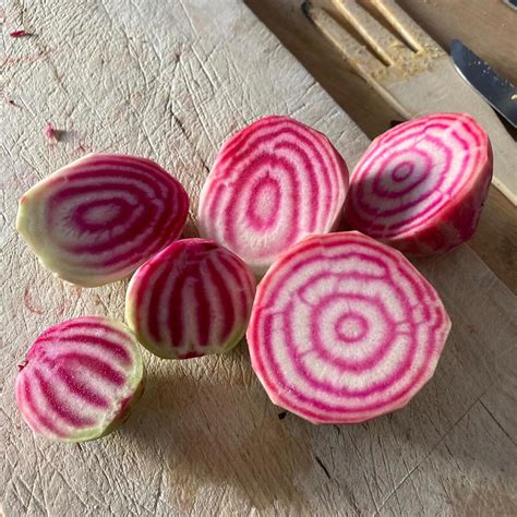 Geringelte Rote Bete Tonda Di Chioggia Beta Vulgaris Samen Rote