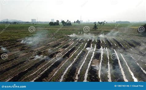 Farmers Burn The Agricultural Waste After Harvest At Malaysia Stock