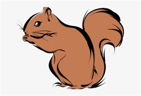 Cute Squirrel White Transparent Cute Squirrel Squirrel Clipart Clip