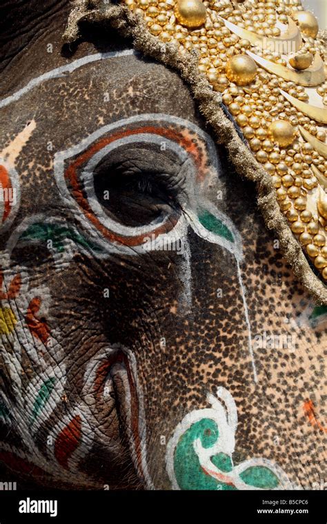 Decorated elephant during Mysore Dasara festival in 2008 Stock Photo - Alamy