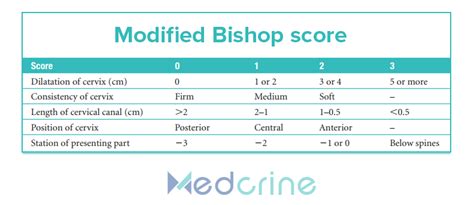 Bishop Scoring Bishop Score Cervix Cervical