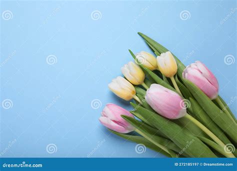 Beautiful Tulips On Light Blue Background Flat Lay Space For Text