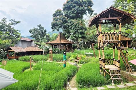 Kampung Sawah Segar Sentul, Wisata Kuliner yang Wajib Dikunjungi ...