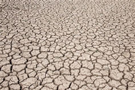 Tudo Sobre Solo Calcário Mundo Ecologia