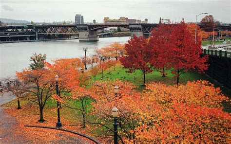 How To Have The Best Fall Ever Oregon Photography Portland Oregon