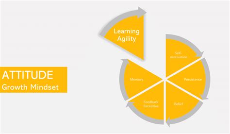 Learning Agility Spark Principles For Success