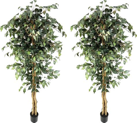 Viggda Artificial Ficus Trees 6ft（2pack） With Silk Leaves