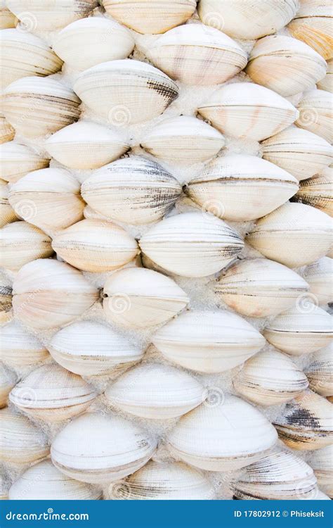 shell wall stock photo image  house build abstract