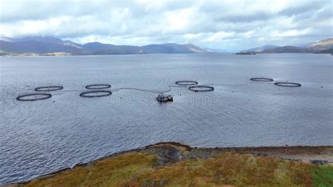 Sea Farm Aquaculture Nets In The Ocean Used For Intensive Fish Farming