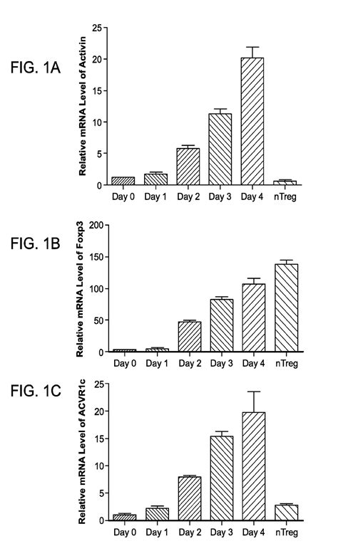 Compositions And Methods For Targeting Activin Signaling To Treat