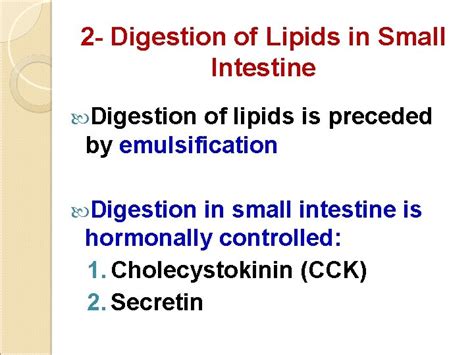 Biochemical Aspects Of Digestion Of Lipids Dr Amr