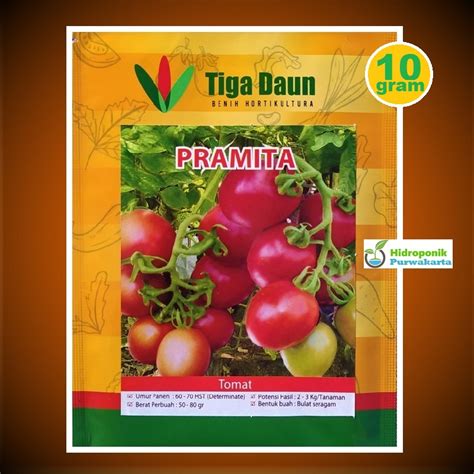 Benih Tomat Super Pramita Isi 10 Gram Cap Tiga Daun Tipe Determinate