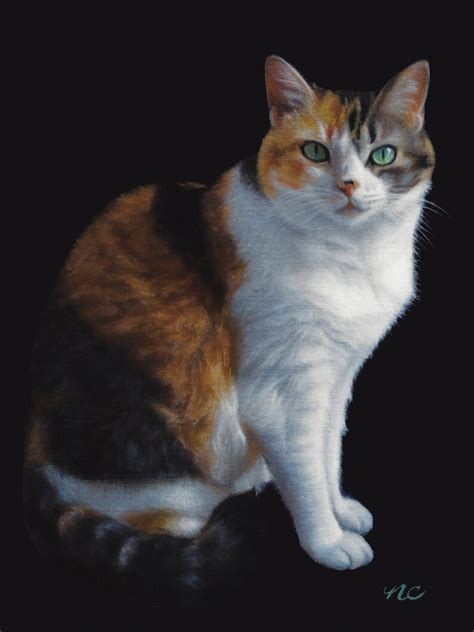 Calico Cat Blank Card Of Original Oil Painting By Nancy Cuevas Etsy