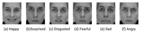 Six basic facial expressions in humans | Download Scientific Diagram