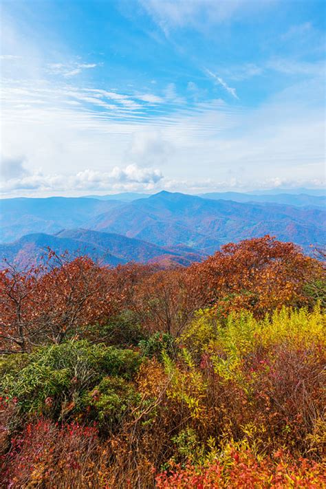 Fall Brilliance In Asheville North Carolina — Kevin And Amanda