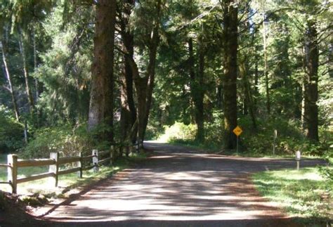 Olympic National Park Mora Campground