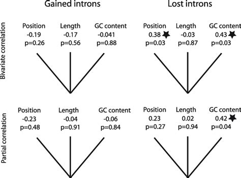 Bivariate And Partial Correlation Test Between Intron Population