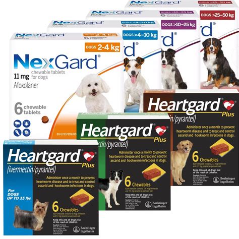 Nexgard And Heartgard Plus Combo 6 Month Bundle Atlantic Pet Products