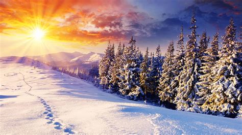 Winter Wallpaper And Screensavers 40 Images