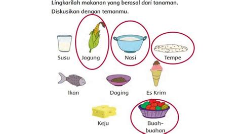 Kunci Jawaban Tema 7 Kelas 1 Halaman 123 Lingkarilah Makanan Yang