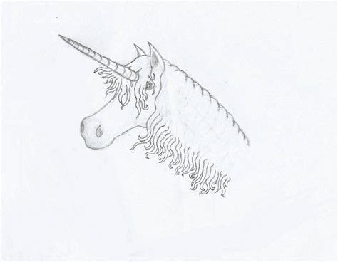 Unicorn Head Sketch by CelticWarriorMoon on DeviantArt