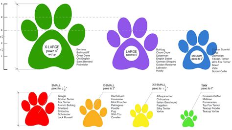 Dog Paw Size Chart | ubicaciondepersonas.cdmx.gob.mx