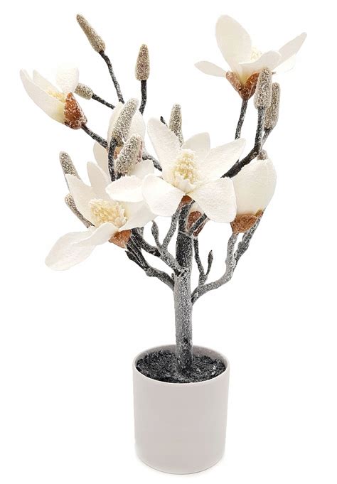 MAGNOLIA W DONICZCE OŚNIEŻONA BIAŁA DRZEWKO 45 cm 5900291088587