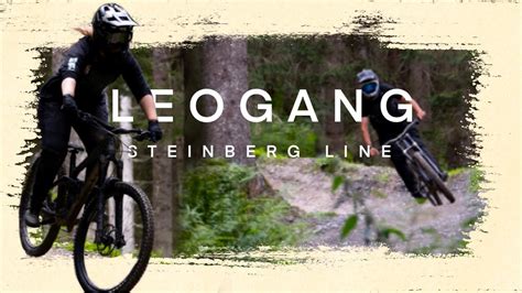 Track Check Epic Bike Park Leogang Extrem Viel Flow Auf Der