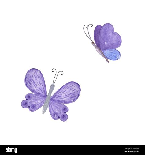 Violette Schmetterlinge Aquarell Illustration Isoliert Auf Dem Wei En