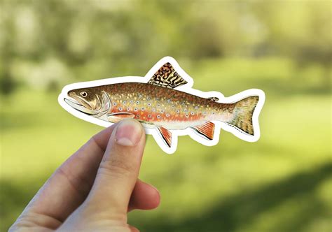 Brook Trout Sticker Fishing Vinyl Die Cut Decal Sticker Etsy