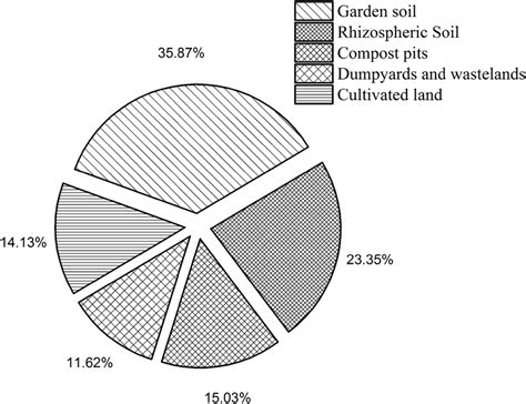 Isolation of actinobacteria from different soil samples | Download ...