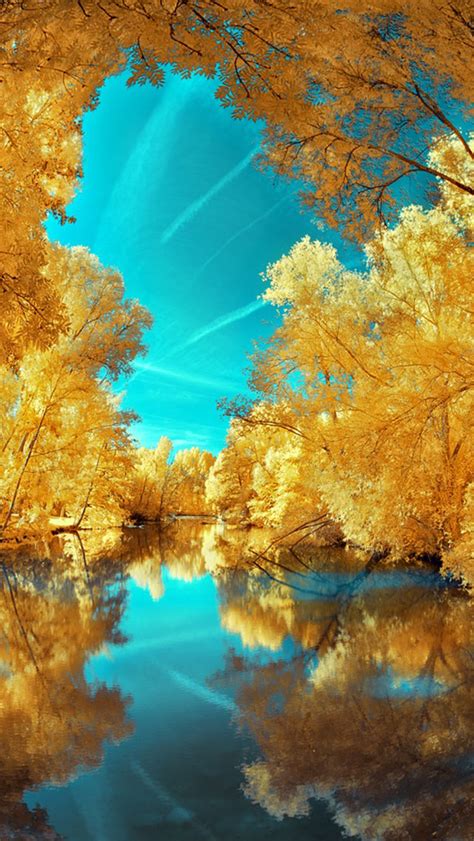 🔥 [50+] Gold Tree Wallpapers | WallpaperSafari