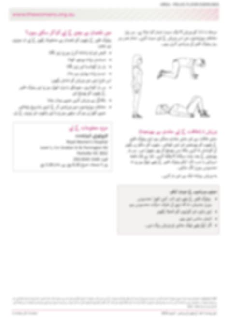 SOLUTION Pelvic Floor Exercises Urdu Studypool